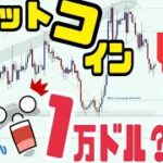 【削除覚悟】ビットコイン（BTC）大暴落する理由6選。１万ドルまで下落する可能性！？