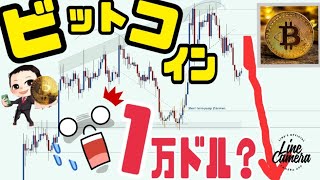 【削除覚悟】ビットコイン（BTC）大暴落する理由6選。１万ドルまで下落する可能性！？