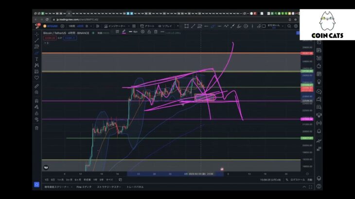 【BTC、ATOM】買いのチャンスを見逃すな!!（2023年2月4日 相場分析）