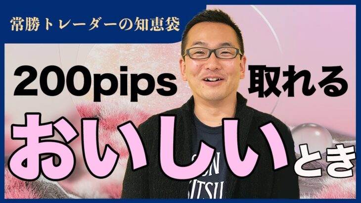 【FX】200pips取れる「おいしい」とき