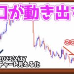 FXこれだけは控えろ！資金失う原因という話【日刊チャート見える化2023/2/17(ドル円、ポンド円、ユーロドル、ポンドドル、ゴールド等)【FX見える化labo】