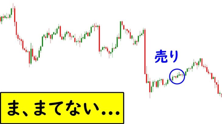 【FX】SNS見過ぎ！？「待てない」という現象の原因と改善策について