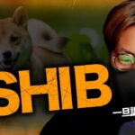 $SHIB(柴犬)上昇理由！！ビットコインは一旦調整か。