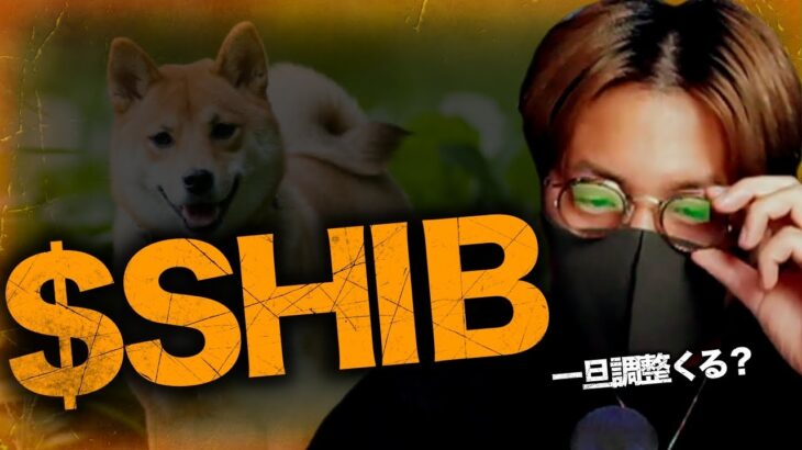 $SHIB(柴犬)上昇理由！！ビットコインは一旦調整か。