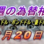 【TAKA FX】ユーロドル、ポンドドル、豪ドルドルの今週の為替相場の動きと来週の展望をチャートから解説。2月20日～