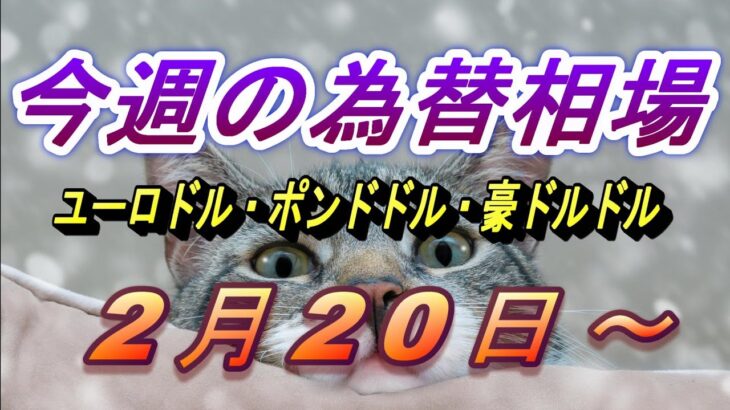 【TAKA FX】ユーロドル、ポンドドル、豪ドルドルの今週の為替相場の動きと来週の展望をチャートから解説。2月20日～