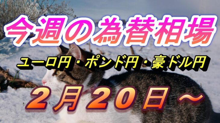 【TAKA FX】ユーロ円、ポンド円、豪ドル円の今週の為替相場の動きと来週の展望をチャートから解説。2月20日～