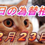 【TAKA FX】ドル、円、ユーロ、ポンド、豪ドルの為替相場の前日の動きをチャートから解説。2月23日