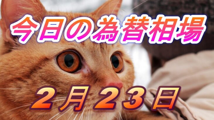 【TAKA FX】ドル、円、ユーロ、ポンド、豪ドルの為替相場の前日の動きをチャートから解説。2月23日