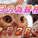 【TAKA FX】ドル、円、ユーロ、ポンド、豪ドルの為替相場の前日の動きをチャートから解説。2月28日