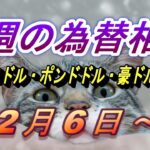 【TAKA FX】ユーロドル、ポンドドル、豪ドルドルの今週の為替相場の動きと来週の展望をチャートから解説。2月6日～