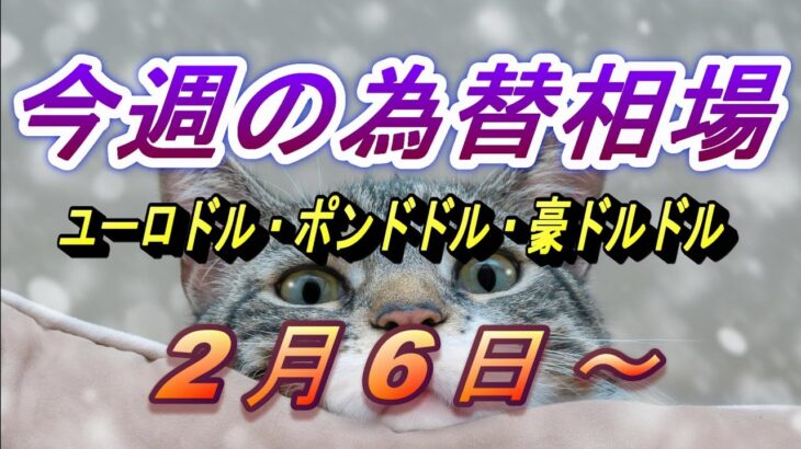 【TAKA FX】ユーロドル、ポンドドル、豪ドルドルの今週の為替相場の動きと来週の展望をチャートから解説。2月6日～