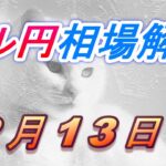 【TAKA FX】ドル円為替相場の今週の動きと来週の展望をチャートから解説。日経平均、NYダウ、金チャートも。2月13日～