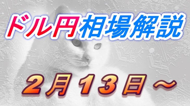 【TAKA FX】ドル円為替相場の今週の動きと来週の展望をチャートから解説。日経平均、NYダウ、金チャートも。2月13日～