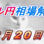 【TAKA FX】ドル円為替相場の今週の動きと来週の展望をチャートから解説。日経平均、NYダウ、金チャートも。2月20日～