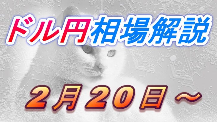 【TAKA FX】ドル円為替相場の今週の動きと来週の展望をチャートから解説。日経平均、NYダウ、金チャートも。2月20日～