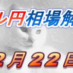 【TAKA FX】ドル円為替相場の今週の動きと来週の展望をチャートから解説。日経平均、NYダウ、金チャートも。2月22日～