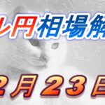 【TAKA FX】ドル円為替相場の今週の動きと来週の展望をチャートから解説。日経平均、NYダウ、金チャートも。2月23日～