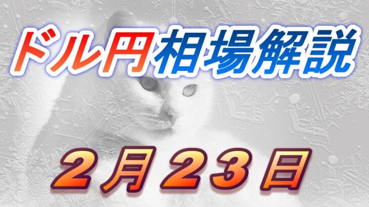 【TAKA FX】ドル円為替相場の今週の動きと来週の展望をチャートから解説。日経平均、NYダウ、金チャートも。2月23日～