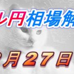 【TAKA FX】ドル円為替相場の今週の動きと来週の展望をチャートから解説。日経平均、NYダウ、金チャートも。2月27日～