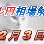 【TAKA FX】ドル円為替相場の前日の動きをチャートから解説。日経平均、NYダウ、金チャートも。2月3日