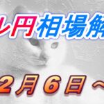 【TAKA FX】ドル円為替相場の今週の動きと来週の展望をチャートから解説。日経平均、NYダウ、金チャートも。2月6日～
