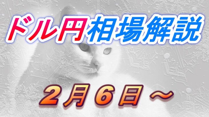 【TAKA FX】ドル円為替相場の今週の動きと来週の展望をチャートから解説。日経平均、NYダウ、金チャートも。2月6日～
