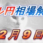 【TAKA FX】ドル円為替相場の前日の動きをチャートから解説。日経平均、NYダウ、金チャートも。2月9日