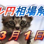 【TAKA FX】ドル円為替相場の前日の動きをチャートから解説。日経平均、NYダウ、金チャートも。3月1日