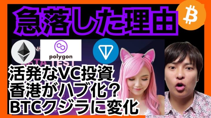 【急落】その理由とVC投資の活発化！　仮想通貨 BTC ETH MATIC TON チャート分析　ビットコイン イーサリアム ポリゴン Polygon Open Network