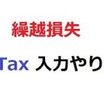 株 確定申告 繰越損失 e-Tax 入力のやり方