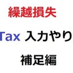 株 繰越損失 e-Tax 入力のやり方 【補足編】