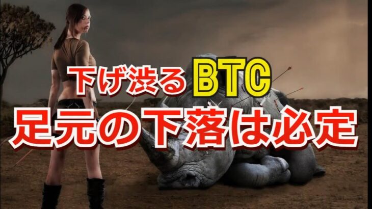 下げ渋るビットコインだが、足元の下落は必定