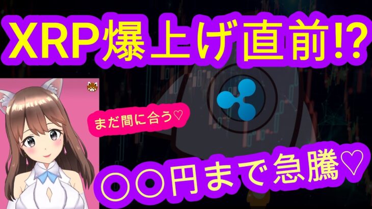 03/19【仮想通貨】XRP相場分析♡5分で聞ける♪インスタは説明欄から登録してね↓↓↓サクッと見れる♪通勤前や寝る前のインプットにおすすめ♡