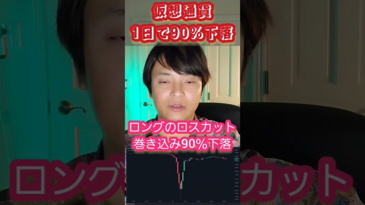 【悲惨】仮想通貨が1日で90％暴落した結果。。 　#暗号資産