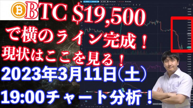 【社会人向け】【投資・暗号資産】2023年3月11日(土)19:00チャート分析！BTC19500ドルにライン完成！