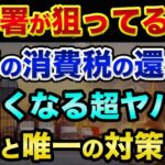 税務署が今、狙っている業種とは？消費税の還付申告の超ヤバい裏話と唯一の対策【 株 FX 都市伝説 消費税 確定申告 】