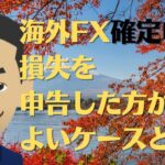 FX投資 確定申告 損失の申告した方が有利なケース