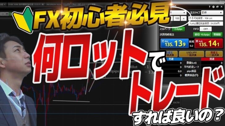 【初心者必見】自分の適正ロットを知りたいあなたへ。【FX】