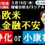 FX ライブ配信、欧米金融不安は「沈静化」or「小康状態」、ECBリアルタイム取引＆解説 (2023年3月16日)