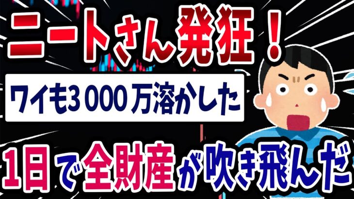 【FX・仮想通貨】ニートさん発狂！ワイ1日で全財産を吹き飛ばして終了したんだが…私はこうやって人生が狂いました！悲惨な体験談まとめ【ゆっくり解説】