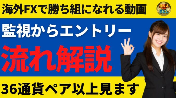 FXで機会損失を防ぐ！会社員でも30通貨以上の監視ができる方法【投資家プロジェクト億り人さとし】