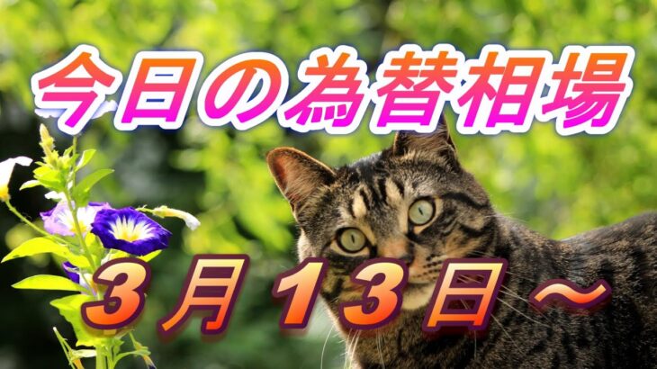 【TAKA FX】ドル、円、ユーロ、ポンド、豪ドルの今週の動きと来週の展望をチャートから解説。3月13日～