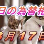 【TAKA FX】ドル、円、ユーロ、ポンド、豪ドルの為替相場の前日の動きをチャートから解説。3月17日