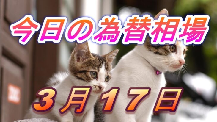 【TAKA FX】ドル、円、ユーロ、ポンド、豪ドルの為替相場の前日の動きをチャートから解説。3月17日