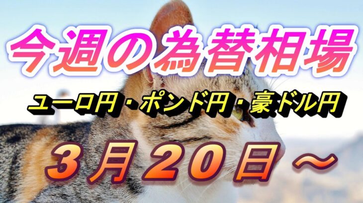 【TAKA FX】ユーロ円、ポンド円、豪ドル円の今週の為替相場の動きと来週の展望をチャートから解説。3月20日～