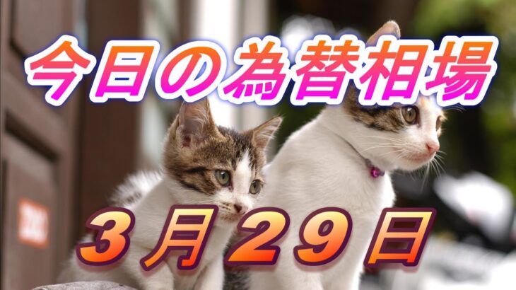 【TAKA FX】ドル、円、ユーロ、ポンド、豪ドルの為替相場の前日の動きをチャートから解説。3月29日