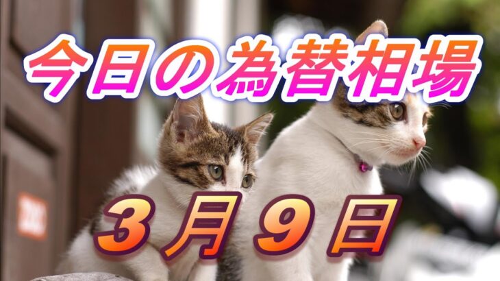 【TAKA FX】ドル、円、ユーロ、ポンド、豪ドルの為替相場の前日の動きをチャートから解説。3月9日