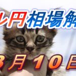 【TAKA FX】ドル円為替相場の前日の動きをチャートから解説。日経平均、NYダウ、金チャートも。3月10日