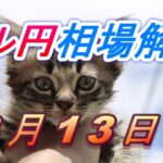 【TAKA FX】ドル円為替相場の今週の動きと来週の展望をチャートから解説。日経平均、NYダウ、金チャートも。3月13日～